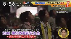 シューイチ 神宮外苑花火大会