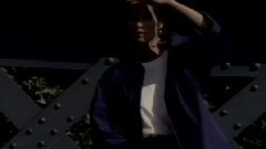 没有玫瑰的日子