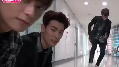 Show Champion Behind