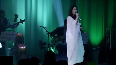 O Bebado E A Equilibrista