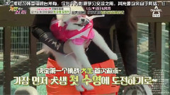 喂狗的男人EP08 I.O.I Cut