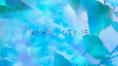 初音未来 - 零花