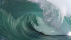 我永远在你身边