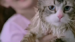 电影<九条命>中文版预告片1