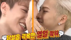 韩国男团友爱粉红剪辑