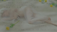 Carnival 预览版 1