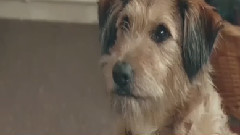 电影<魔法老师>终极预告片