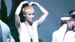 致我的美丽之最