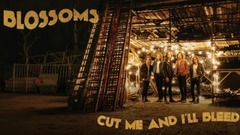 Blossoms - Cut Me and I'll Bleed