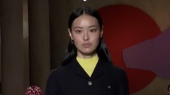 Miu Miu Spring Summer 2017