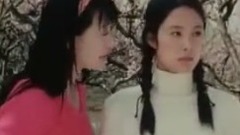 命运的安排(Destiny)