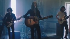 Blossoms - Blown Rose