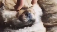 张艺兴INS更新 16/10/19