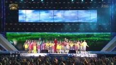 天空,大海,树木,星星的故事