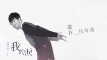 我的泪 歌词版