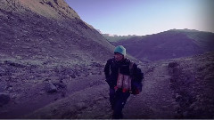 León Larregui - Birdie