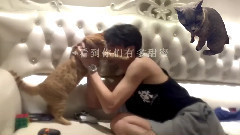 【厉害了】我竟然鬼畜了鹿灰黄 饭制版