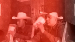 Work Hard Like Teen Animals