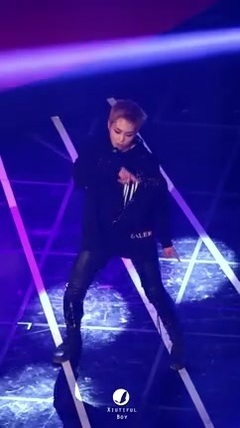 161116 2016 Asia Artist Awards - MONSTER