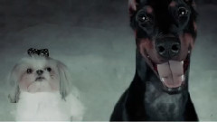 Elliphant,Peking Duk - Stranger