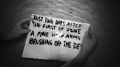 Hippo Campus - monsoon