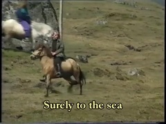 Can't Help Falling In Love