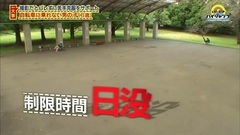 いただきハイジャンプ