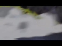 电影<名侦探柯南:业火的向日葵>先行版预告片