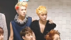 【回忆杀(三)】十二只 Because You Loved Me