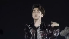 第二张迷你专辑 Video Snippet - 珍虎