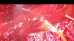 寂寞盈秀映清秋