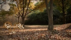 Bernward Koch - Hope