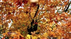 And When I Touched You