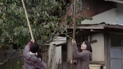 电影<小森林 夏秋篇>预告片