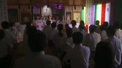 水母看世界 _ 预告片