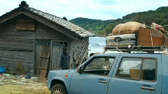 天涯海角待饮香
