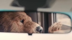 她的传说-主题曲<梦中的爱>MV 演唱:汤唯