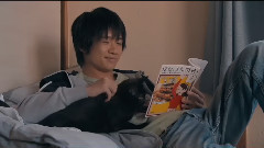 电影<为什么猫都叫不来>