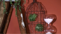 Rainbow Bird (LISTEN 001)