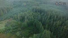 Saturday Night Waltz