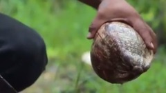 足迹-这货色,你敢下手吗?