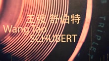 王弢 - 王弢古典专辑《舒伯特》预告片