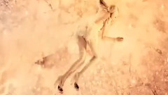 电影<东成西就2011>人物版预告片