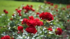 到哪里找我这么好的人