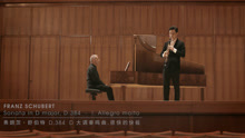 王弢 - 舒伯特D大调奏鸣曲D.384