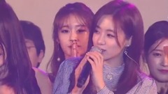 T-ara - 结束部分