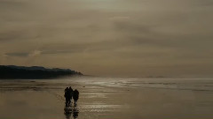 猩球崛起:终极之战