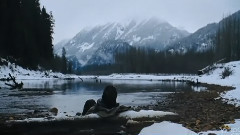 电影<人狼大战>先行版预告片