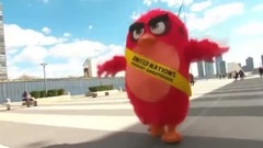 电影<愤怒的小鸟>宣传片之明星版