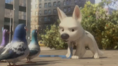 电影<闪电狗>DVD预告片